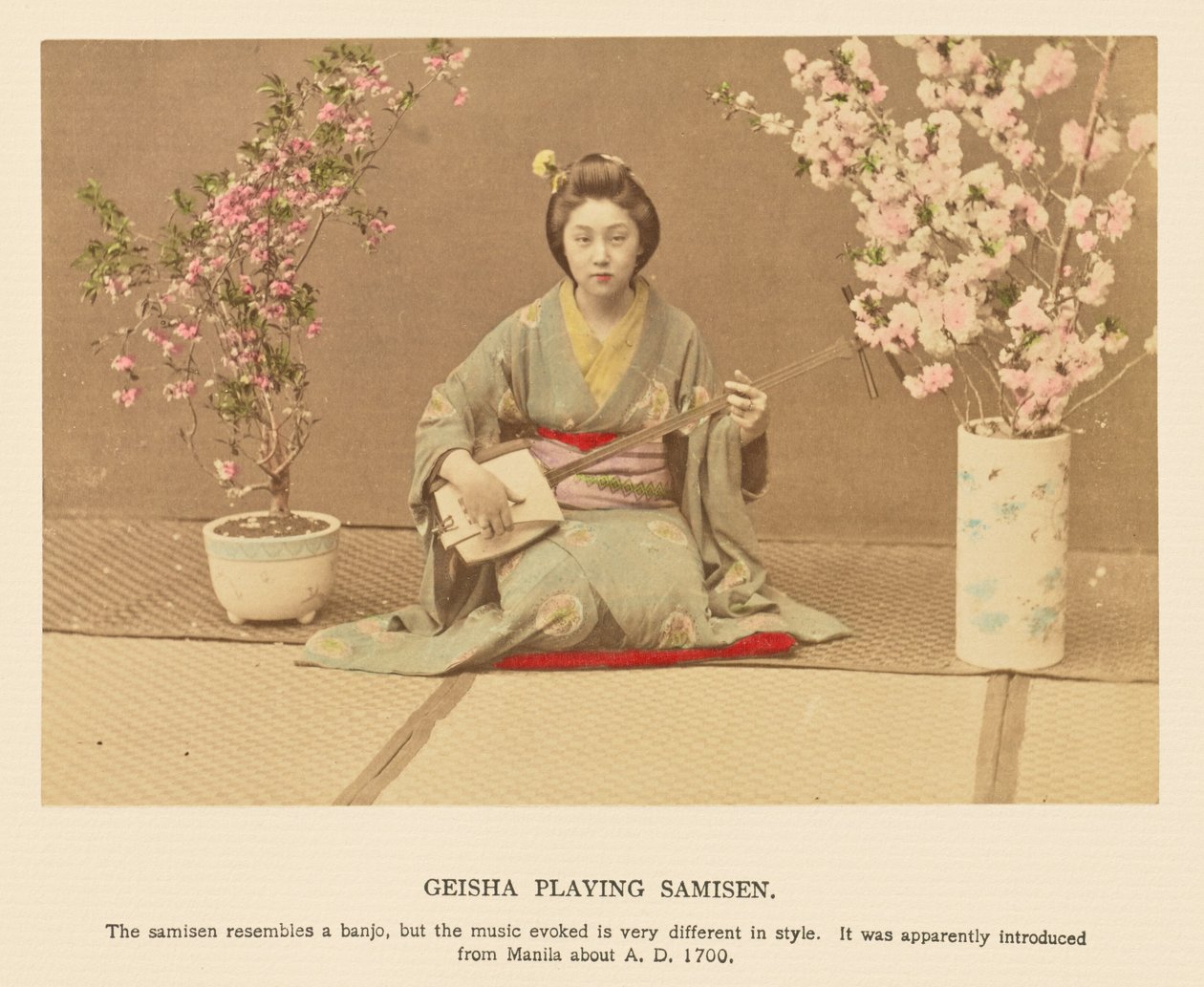 Geisha die samisen speelt door Kazumasa Ogawa