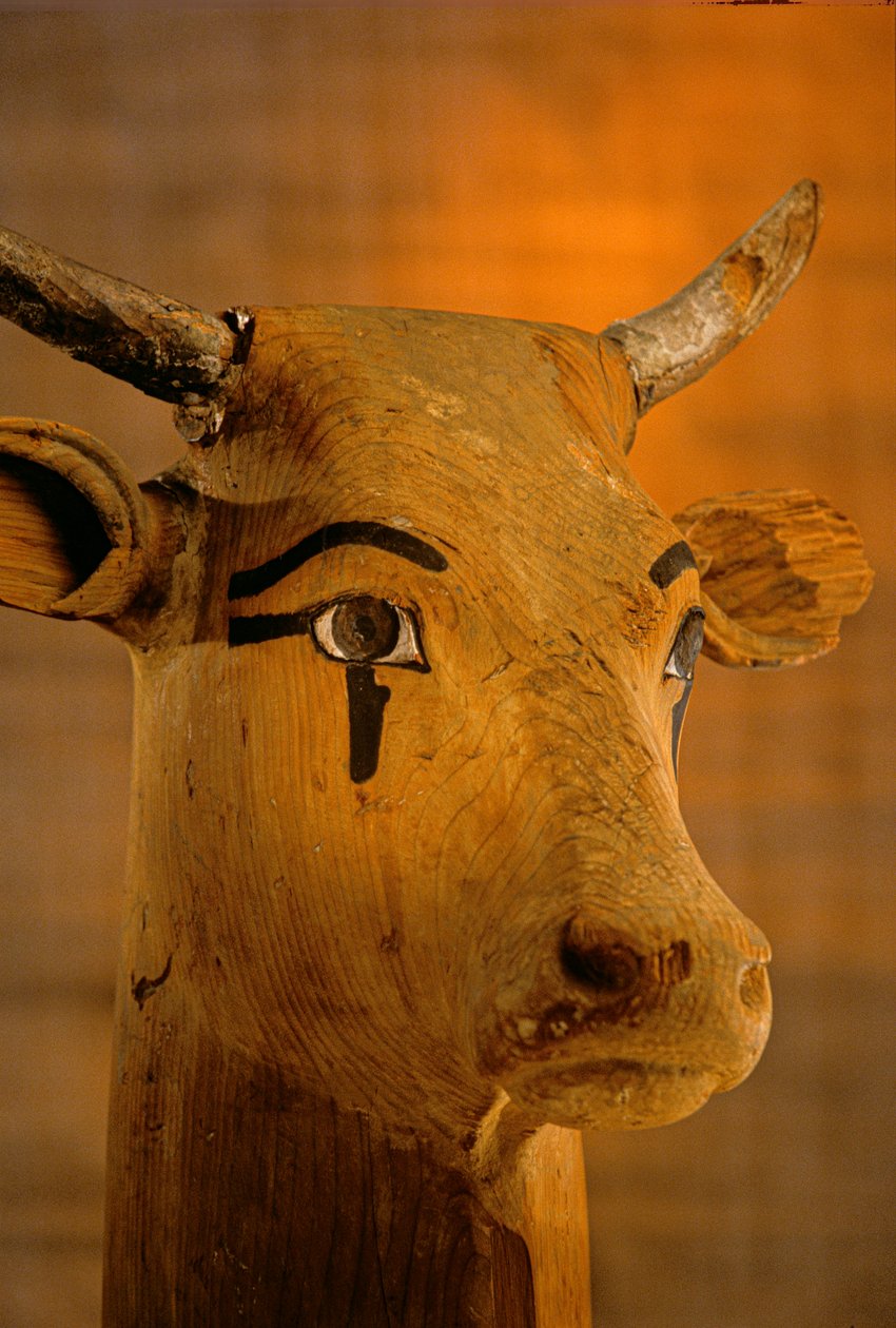 Koeienkop sculptuur, KV35; Amenhotep II door Kenneth Garrett