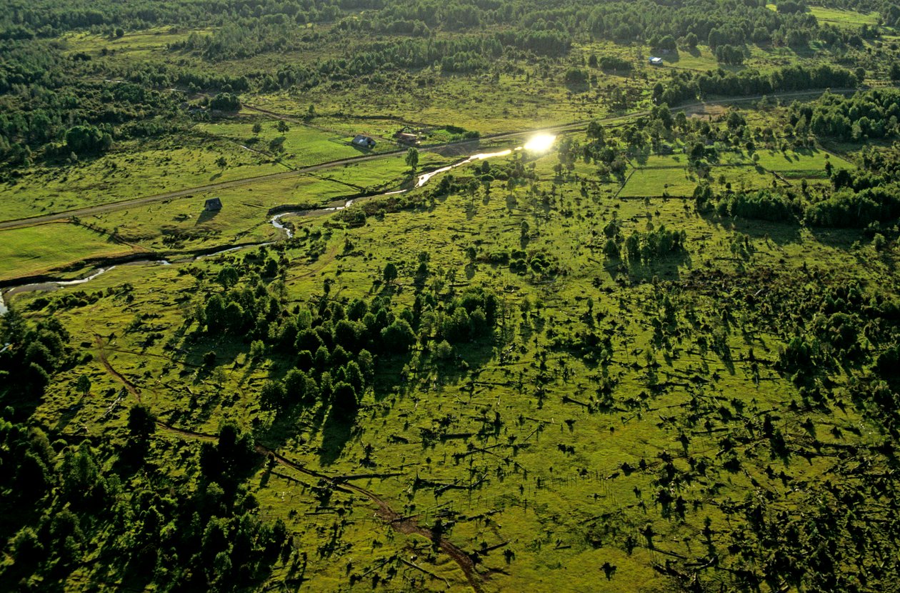 DOH, De oudste Amerikanen, Chinchihuapi Creek, Seizoenshuis, Jager-verzamelaars, 2008 door Kenneth Garrett