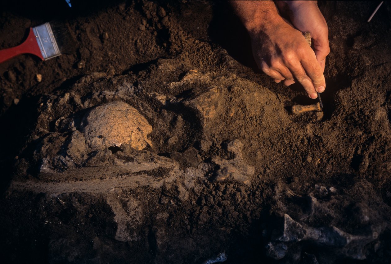 Dmanisi, Georgië, David Lordkipanidze, Homo Erectus door Kenneth Garrett