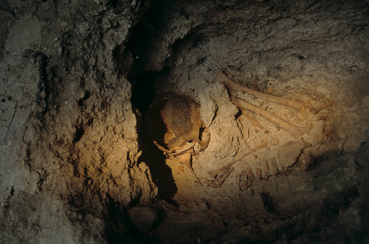 Menselijke resten, Homul Centrum, Holmul, Guatemala, Maya, Francisco Estradabelli, 2008 door Kenneth Garrett