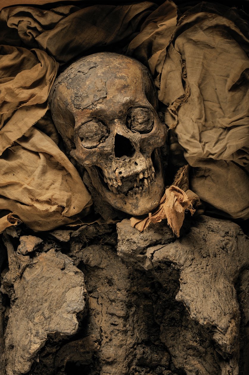 Mummie van Amenhotep III, grootvader van Toetanchamon, KV 35, Toetanchamon; 18e Dynastie door Kenneth Garrett