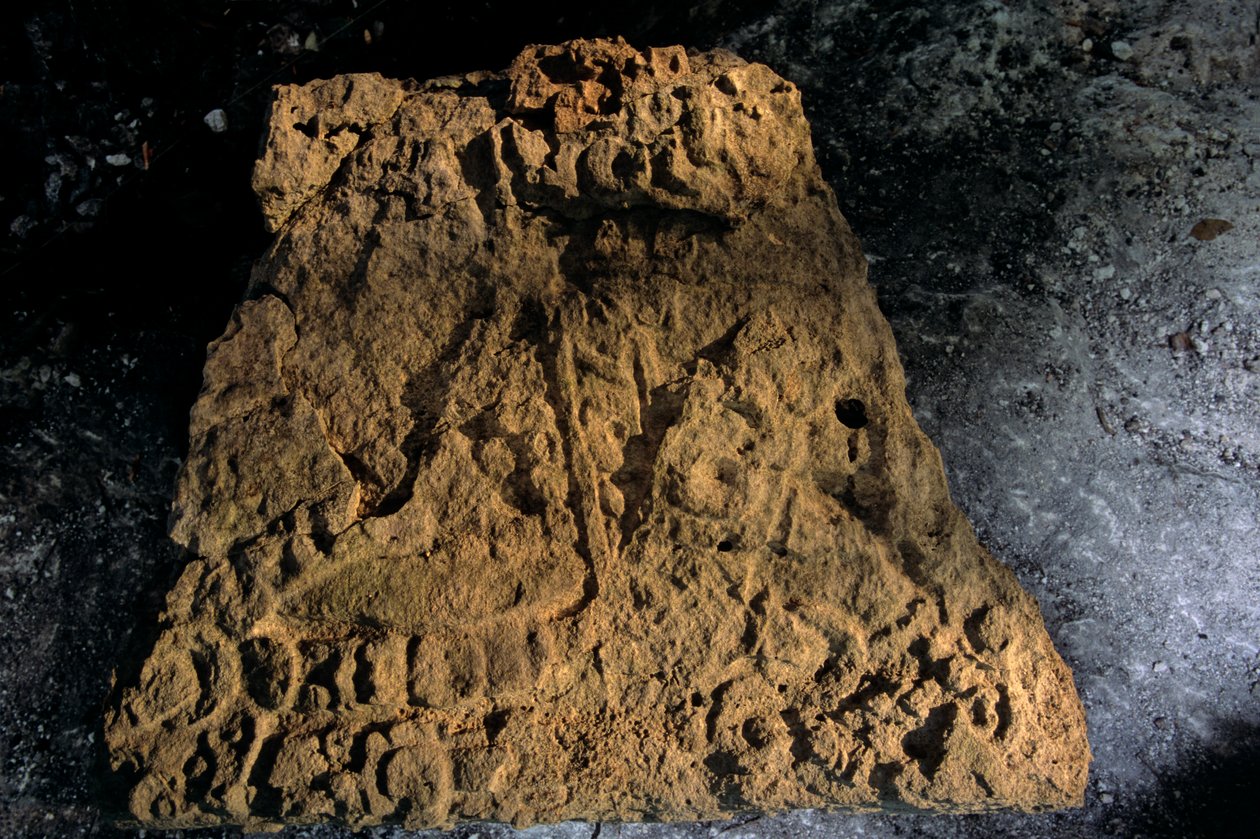 Stele, Sufricaya, Holmul, Guatemala, Maya, Francisco Estradabelli door Kenneth Garrett