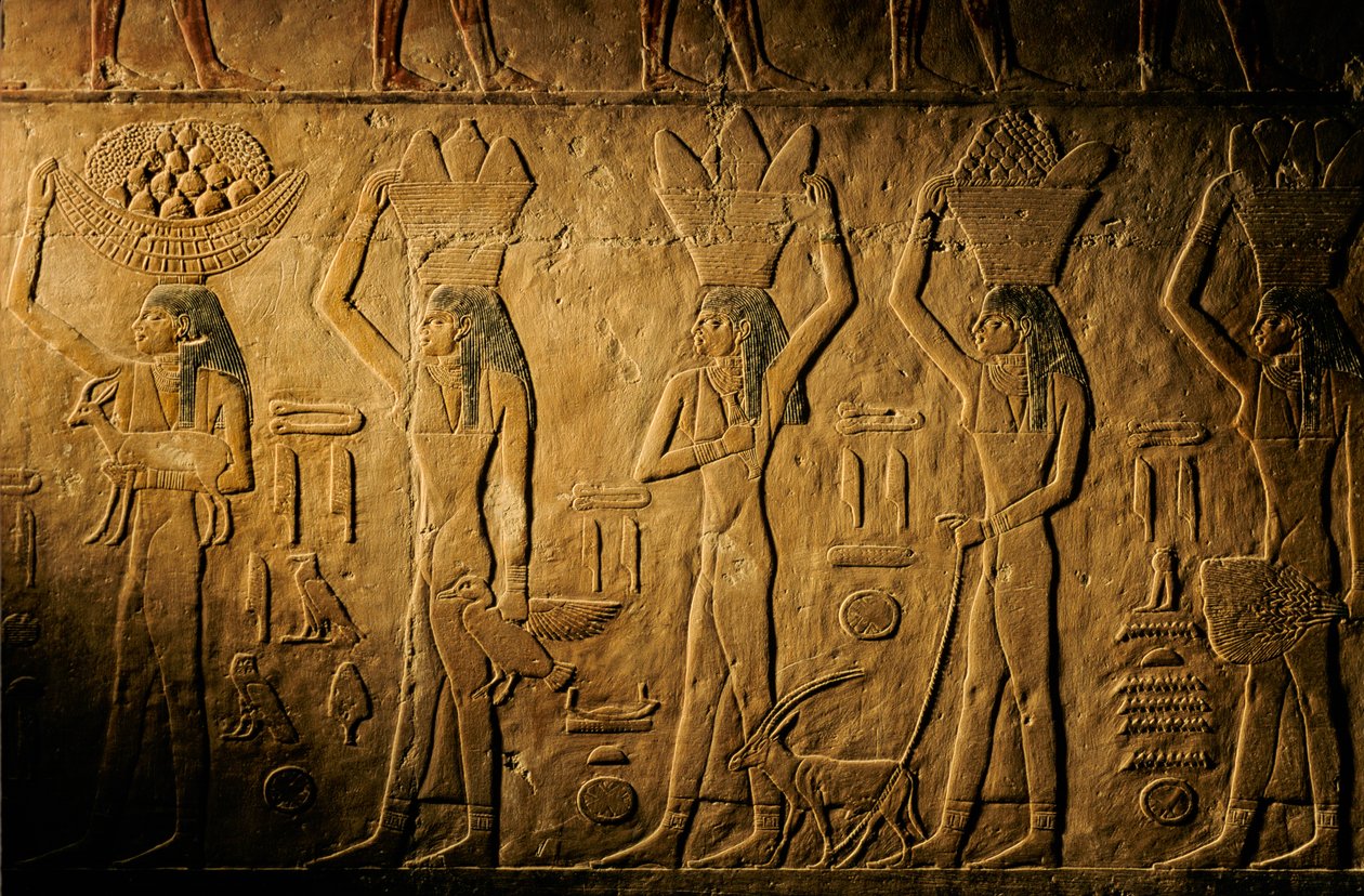 Vrouwen die brood, een vogel, een geit en producten dragen, graf van Tiye, Egypte; Oude Koninkrijk; Saqqara. door Kenneth Garrett