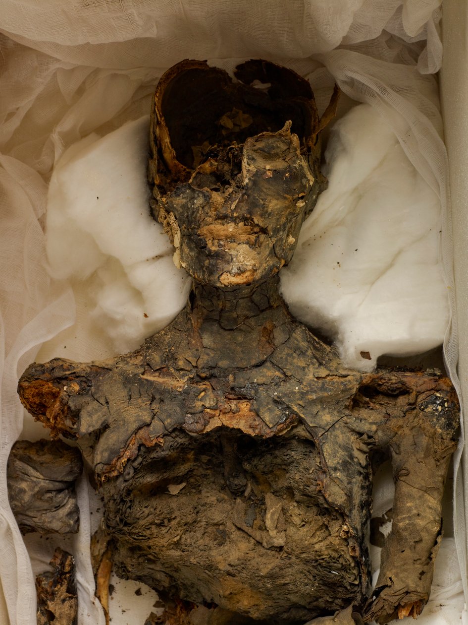 18e Dynastie; Nieuwe Koninkrijk; Egypte; Het Egyptisch Museum; Caïro; Mummie; Vallei der Koningen, 2009 (foto) door Kenneth Garrett