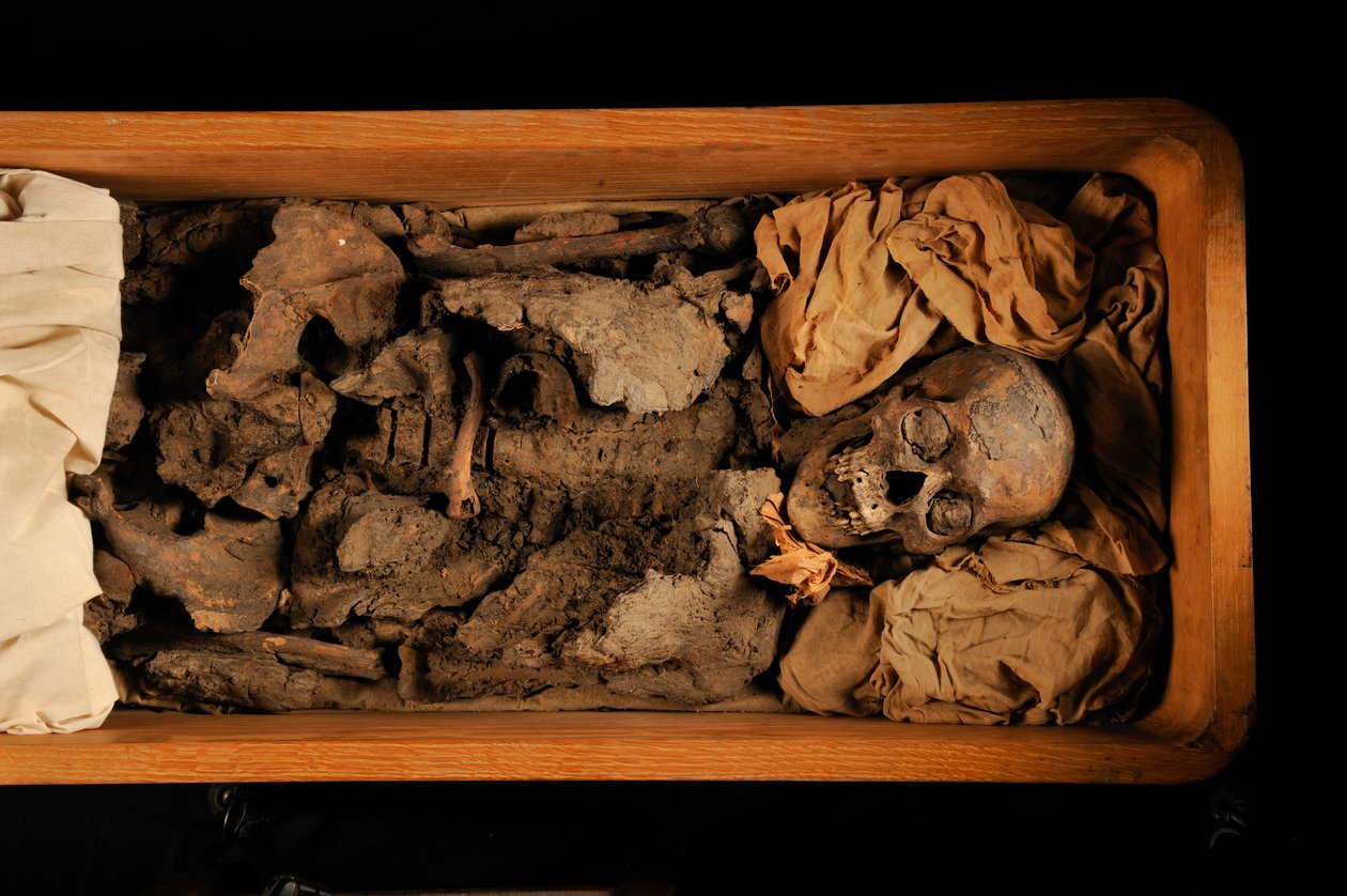Toetanchamon; 18e Dynastie; Nieuwe Koninkrijk; het Egyptisch Museum; Caïro; DNA; monster, 2005 door Kenneth Garrett
