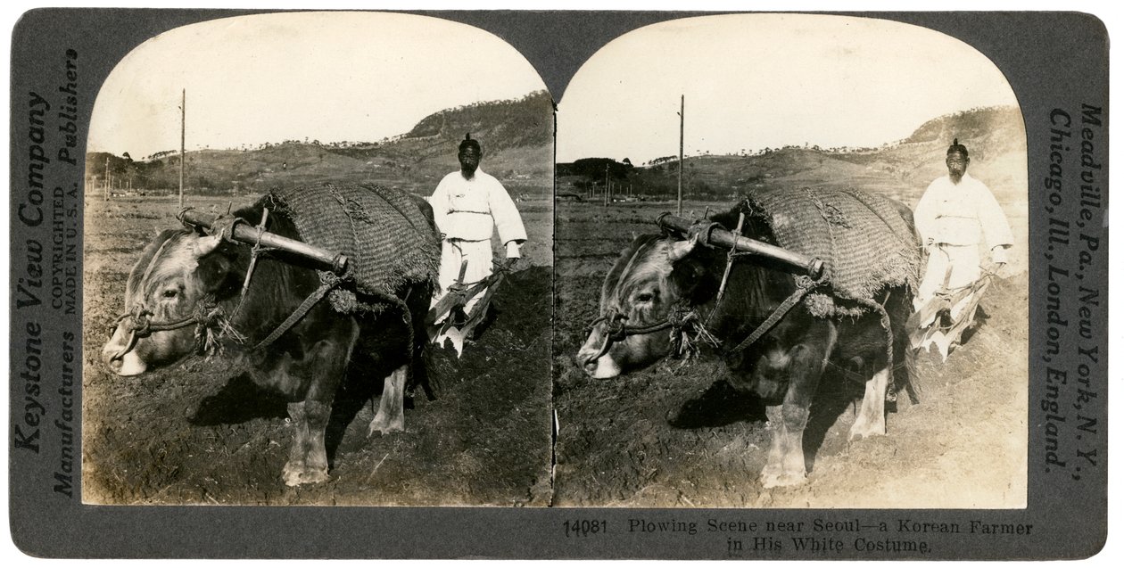 Landbouw nabij Seoul, Zuid-Korea, 1900s door Keystone View Company