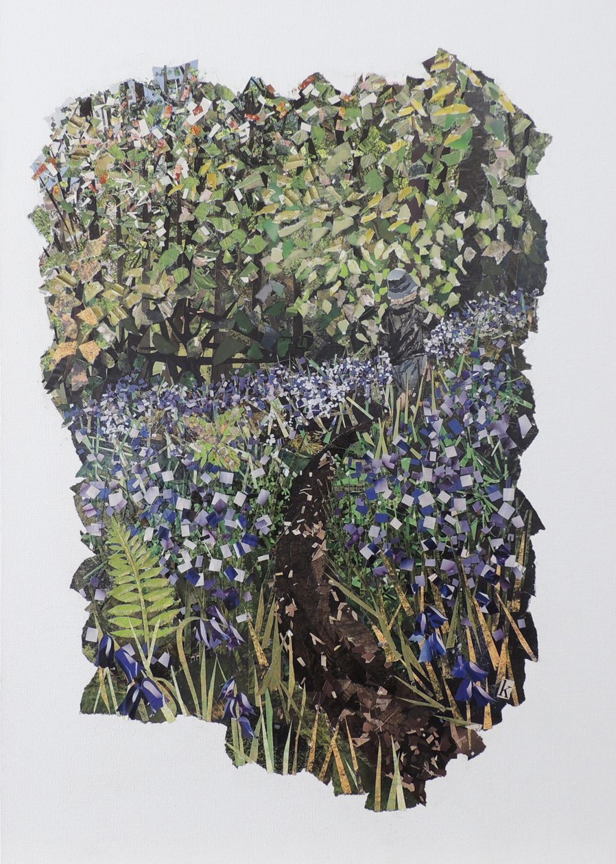 Bluebell bos door Kirstie Adamson