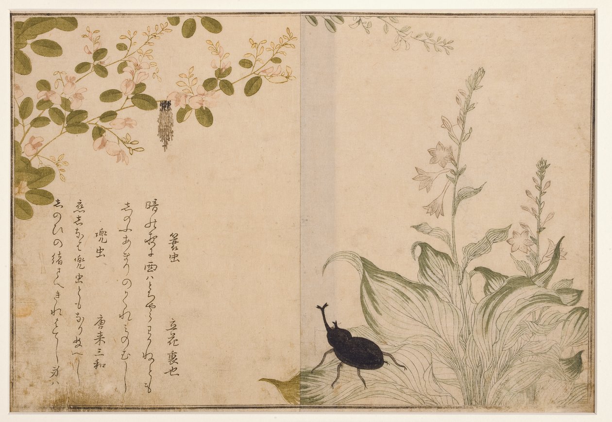 Mandworm en helmkever door Kitagawa Utamaro