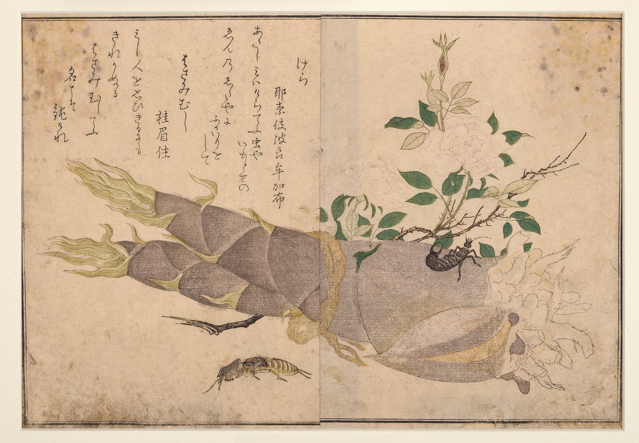 Oorworm en molkrekel, 1788 door Kitagawa Utamaro