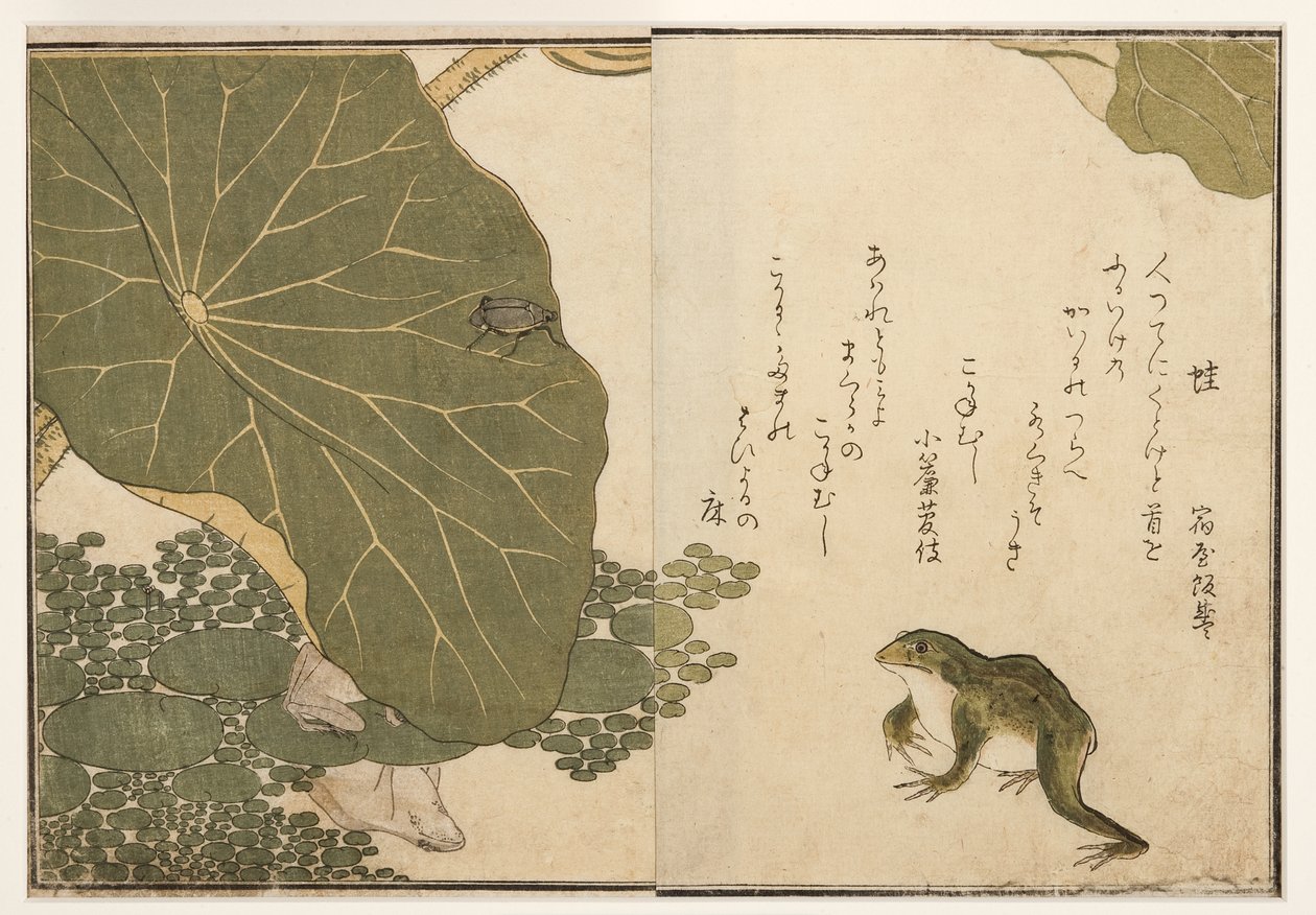 Kikkers en gouden insectenkever, 1788 door Kitagawa Utamaro