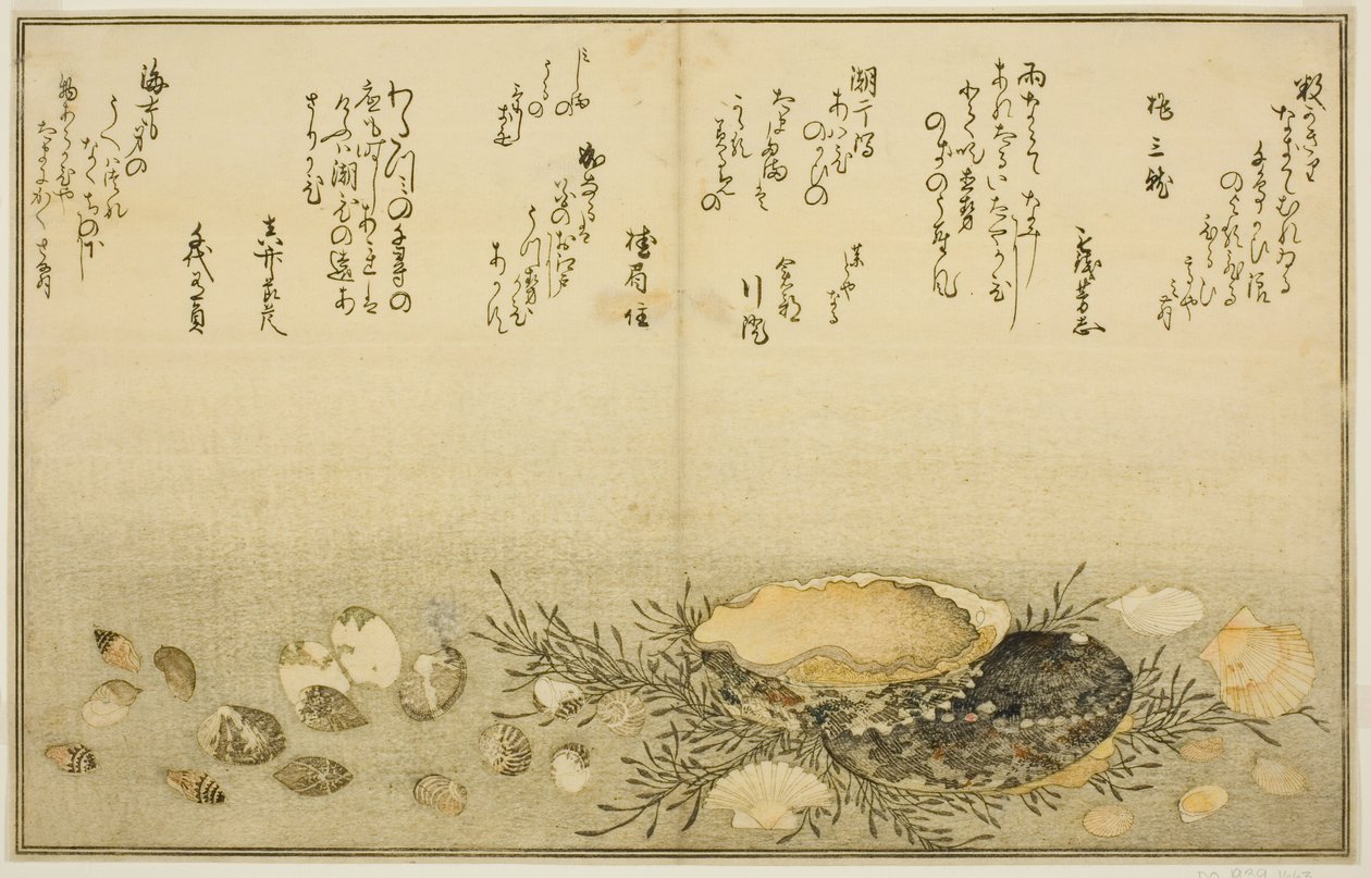Chidori-gai, itaya-gai, awabi, utsuse-gai, asari-gai, en monoara-gai, uit het geïllustreerde boek 