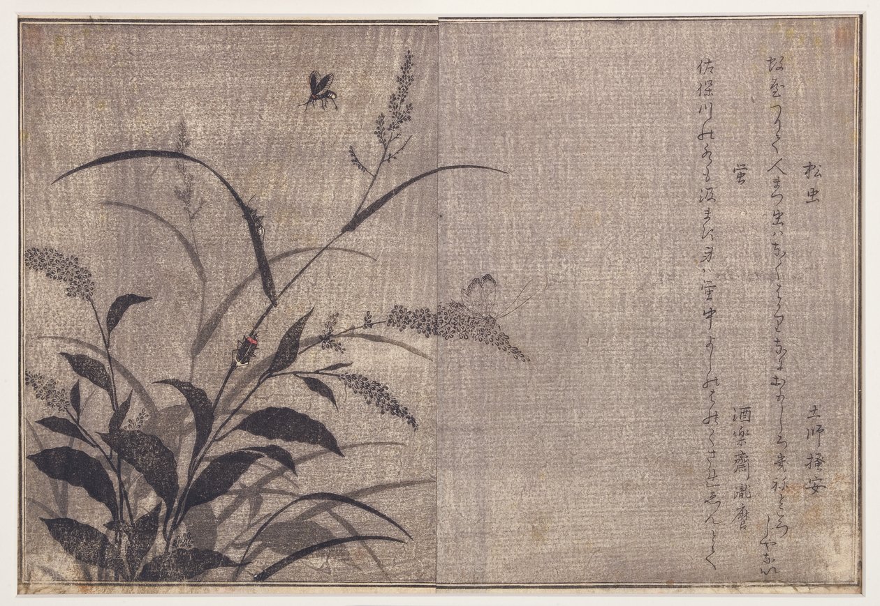 Krekel en vuurvliegjes, 1788 door Kitagawa Utamaro