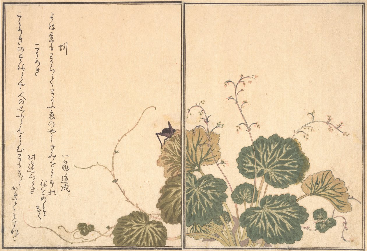 Aardworm Mimizu, Krekel Korogi..., 1788 door Kitagawa Utamaro
