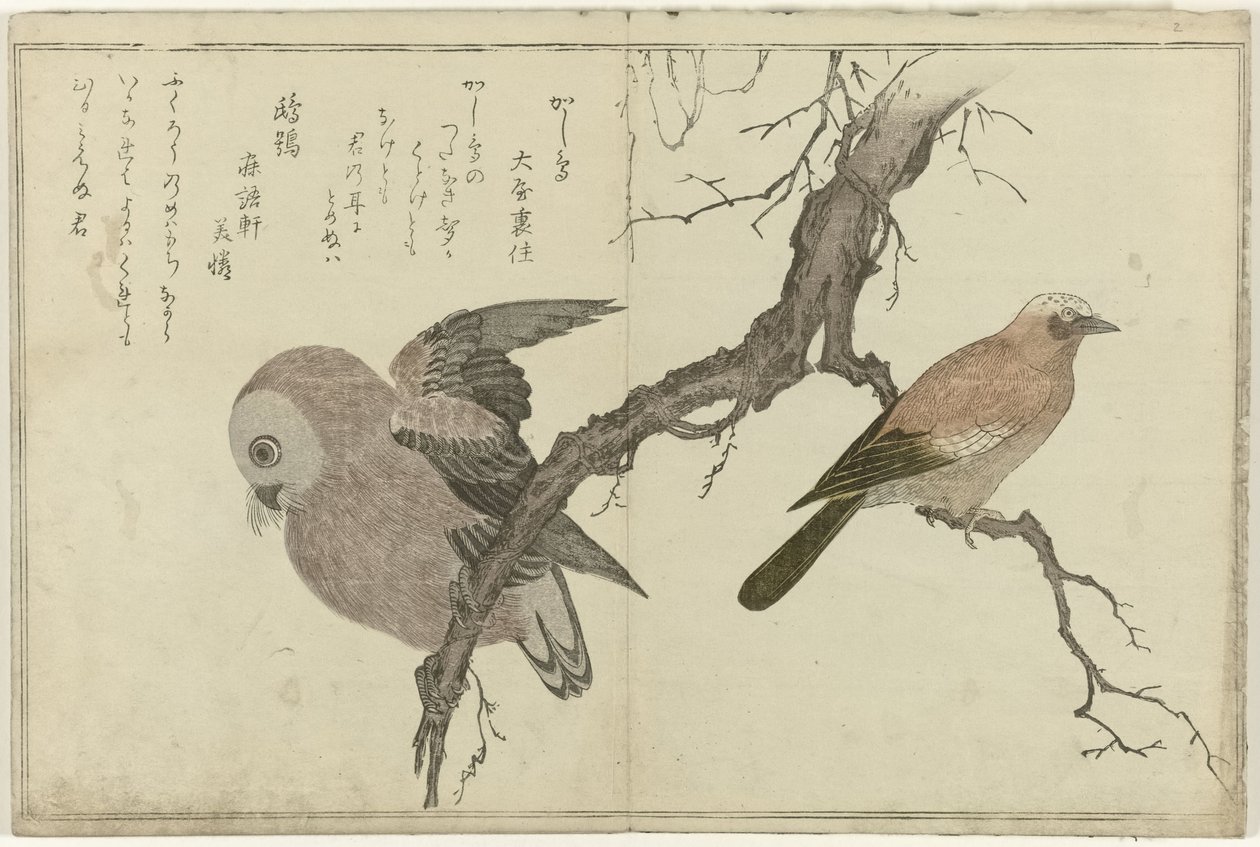 Gaai en uil door Kitagawa Utamaro