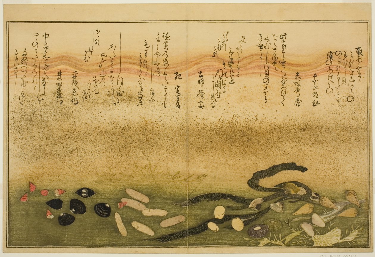 Minashi-gai, shio-gai, katatsu-gai, miso-gai, chijimi-gai, en chigusa-gai, uit het geïllustreerde boek 