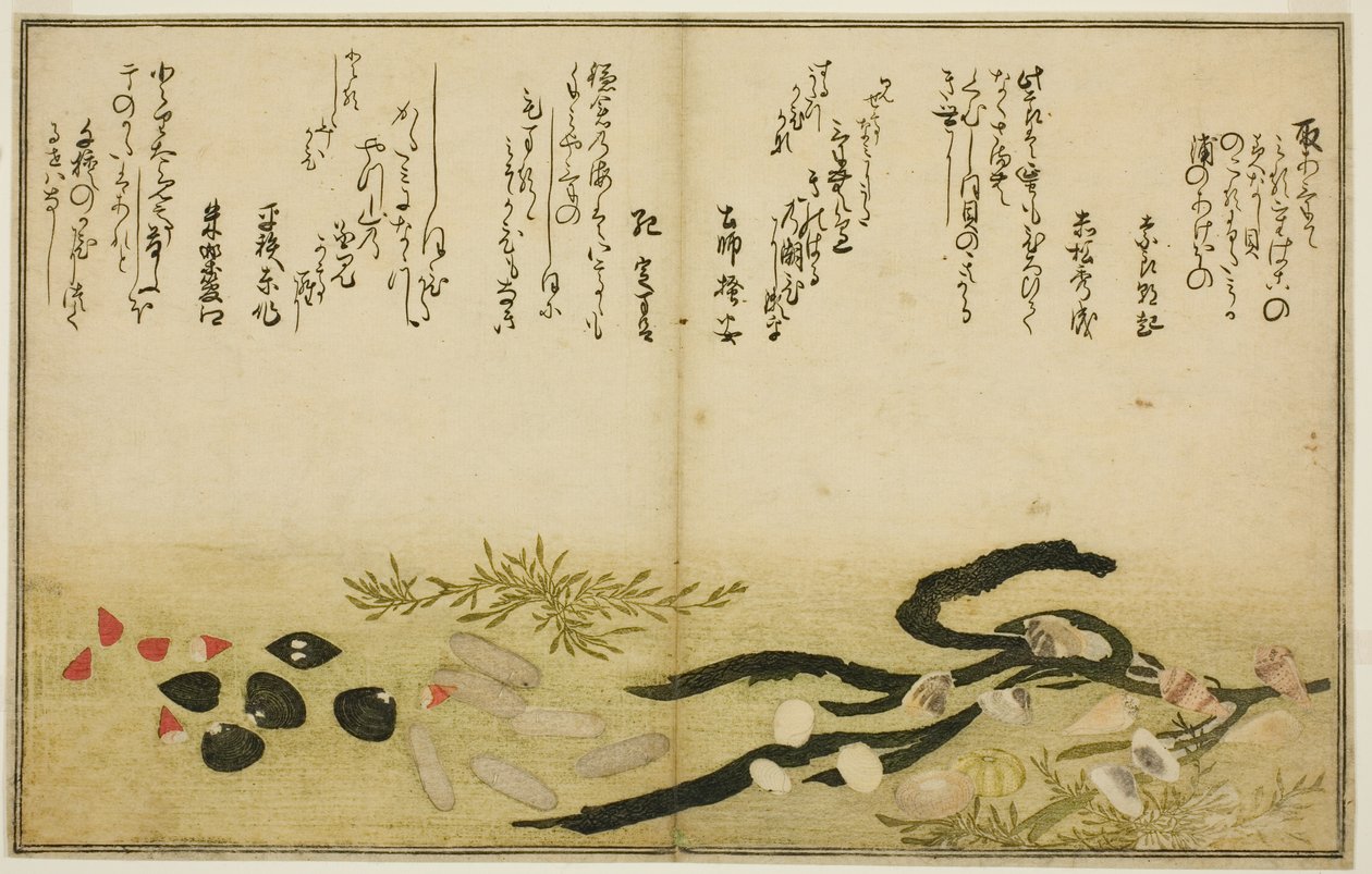 Minashi-gai, shio-gai, katatsu-gai, miso-gai, chijimi-gai, en chigusa-gai uit het geïllustreerde boek Geschenken van de Eb (Shiohi no tsuto) door Kitagawa Utamaro
