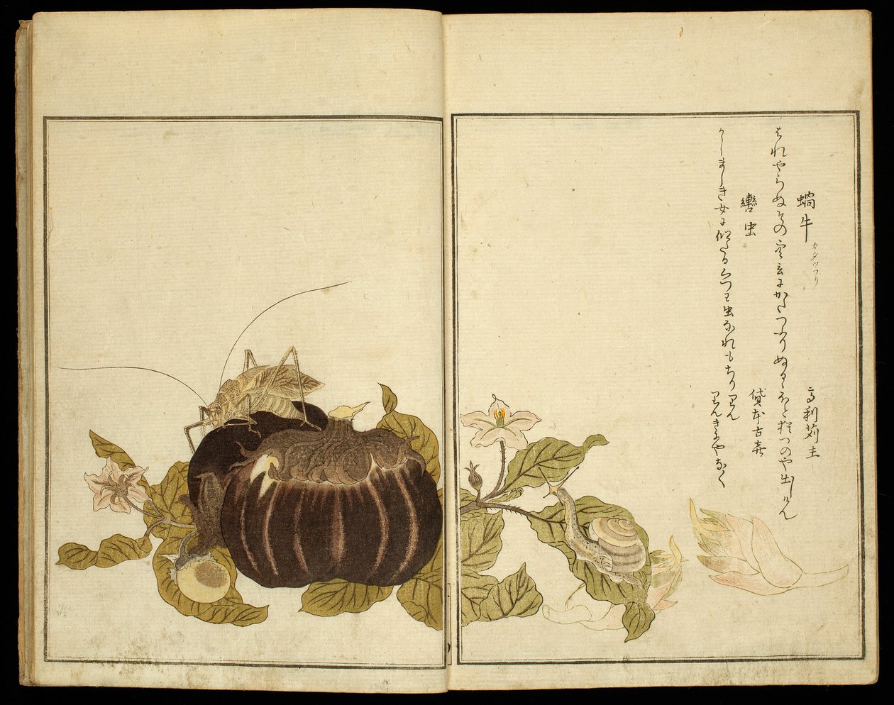 Prentenboek: Uitgelezen insecten (Ehon mushi erabi) door Kitagawa Utamaro
