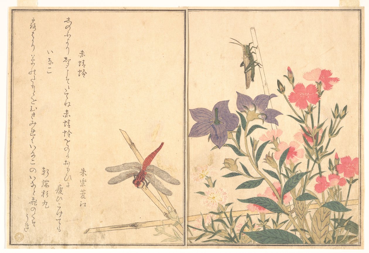 Rode libel (Akatonbo); Sprinkhaan (Inago), uit het prentenboek over kruipende beestjes (Ehon mushi erami) door Kitagawa Utamaro