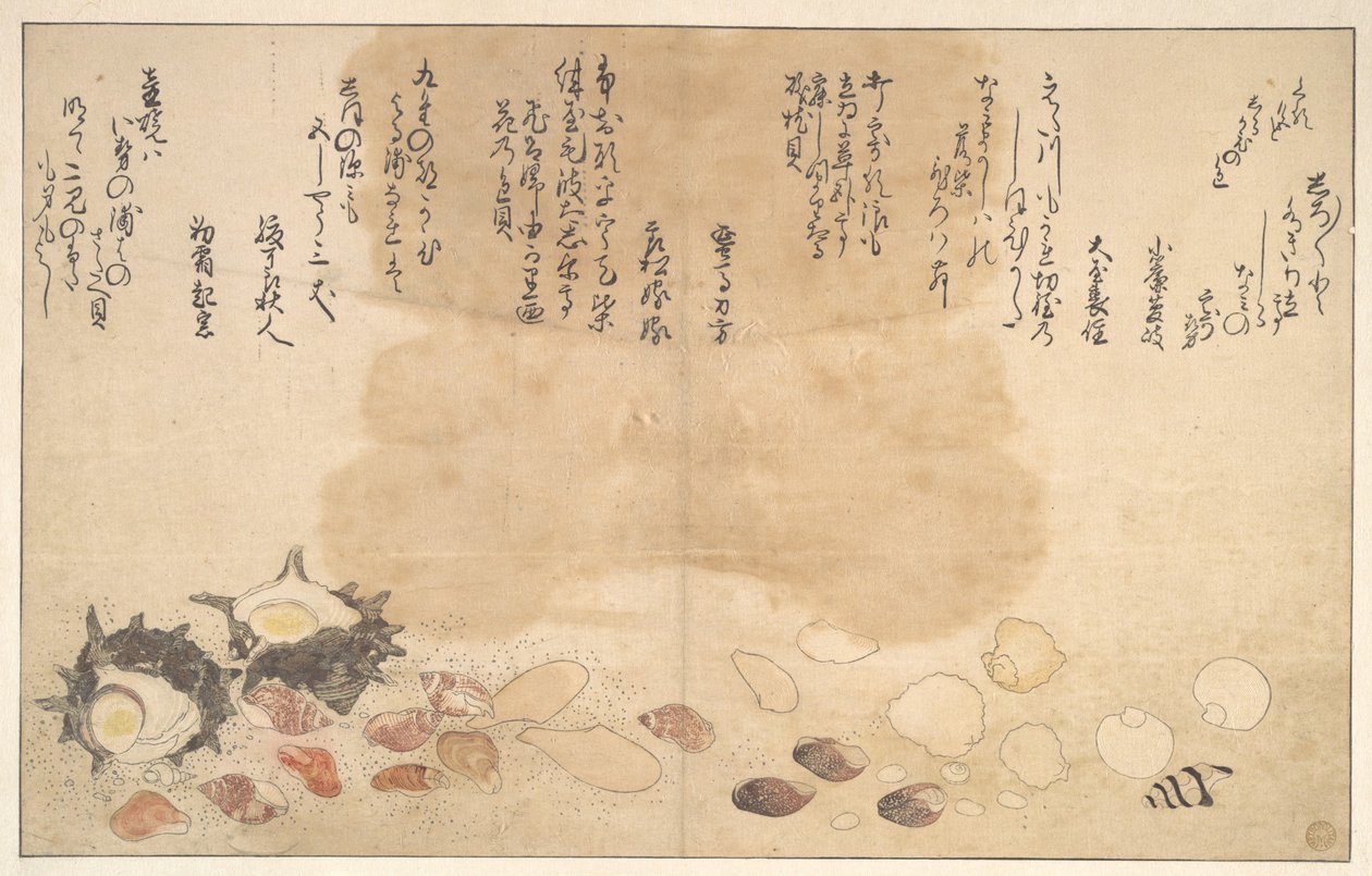 Schelpen onder water door Kitagawa Utamaro