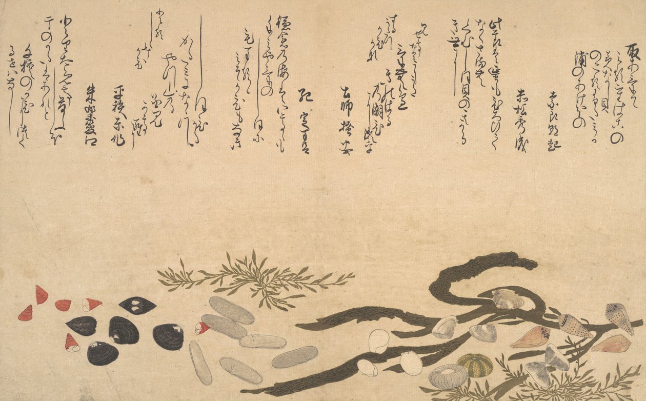 Schelpen onder Water, 1790 door Kitagawa Utamaro