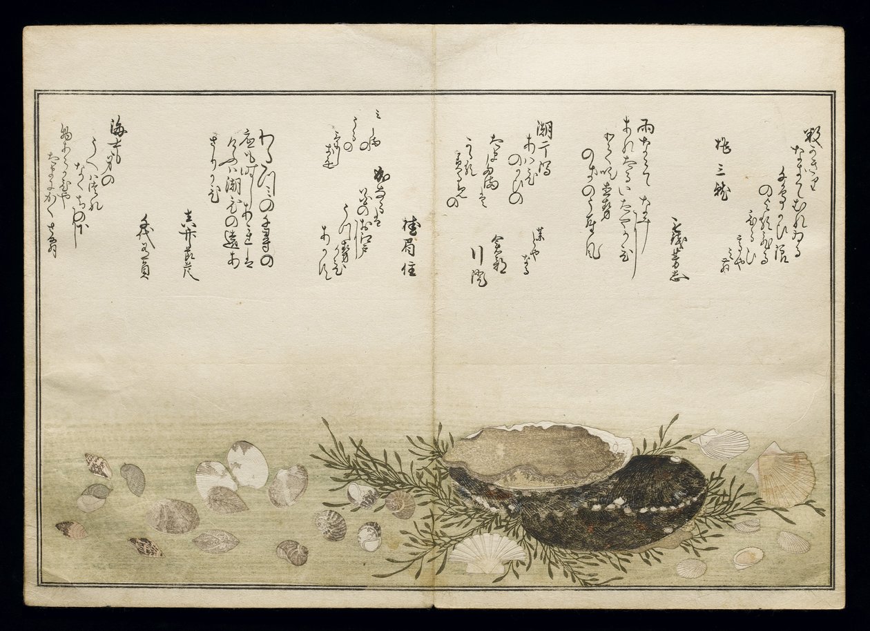 Shiohi no tsuto (Geschenken van de Eb), bekend als het Schelpenboek, 1789 door Kitagawa Utamaro