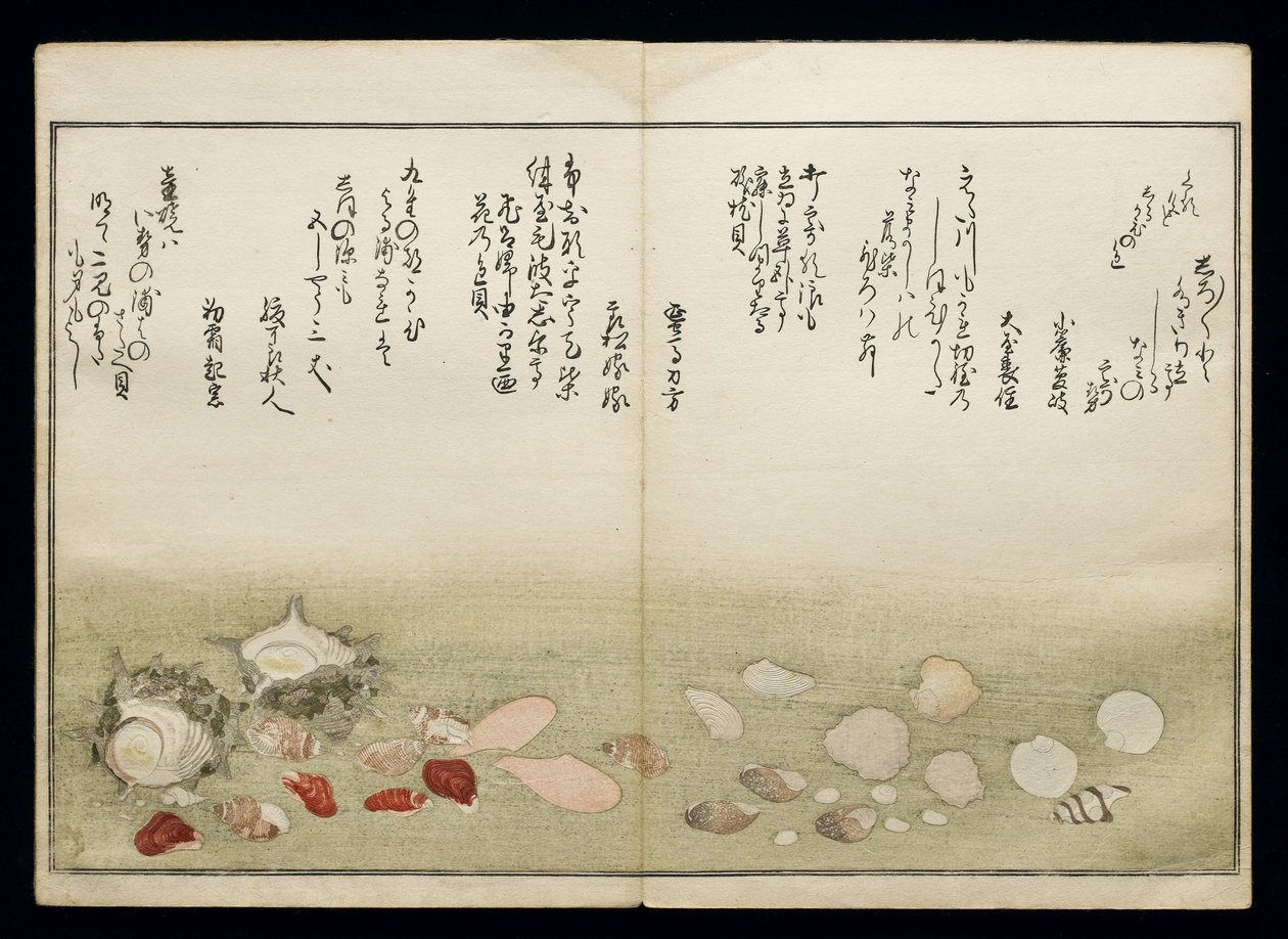 Shiohi no tsuto (Geschenken van de Eb), bekend als het Schelpenboek, 1789 door Kitagawa Utamaro