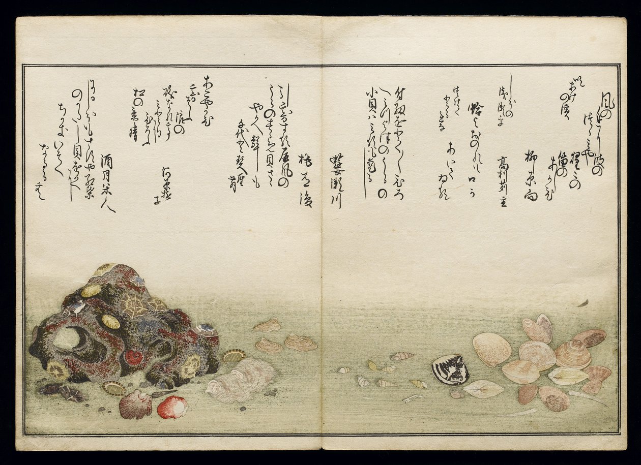 Shiohi no tsuto (Geschenken van de Eb), bekend als het Schelpenboek, 1789 door Kitagawa Utamaro
