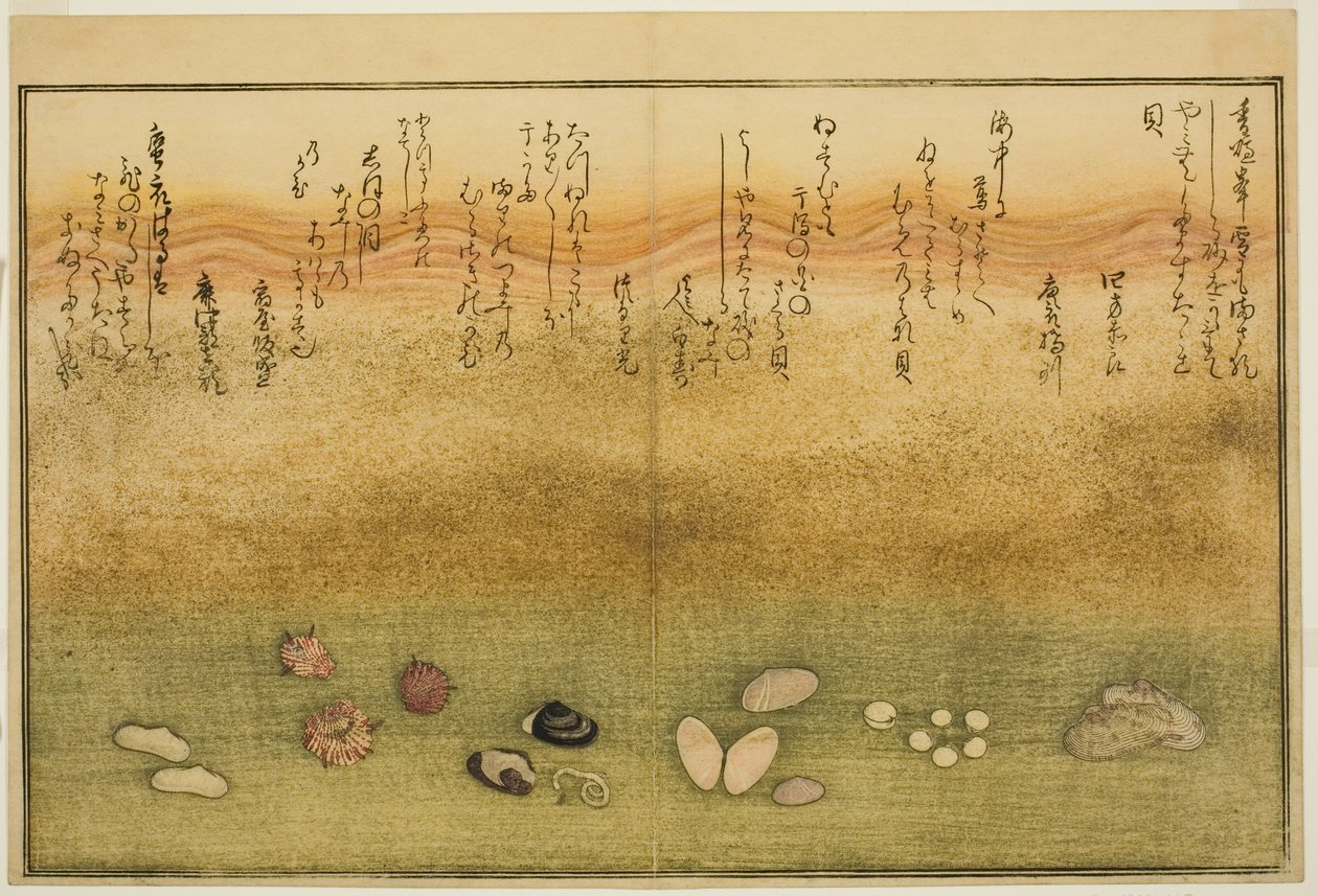 Sudare-gai, hana-gai, sakura-gai, mumeno-gai, nadeshiko-gai, en kinuta-gai, uit het geïllustreerde boek "Giften van de Eb (Shiohi no tsuto)" door Kitagawa Utamaro