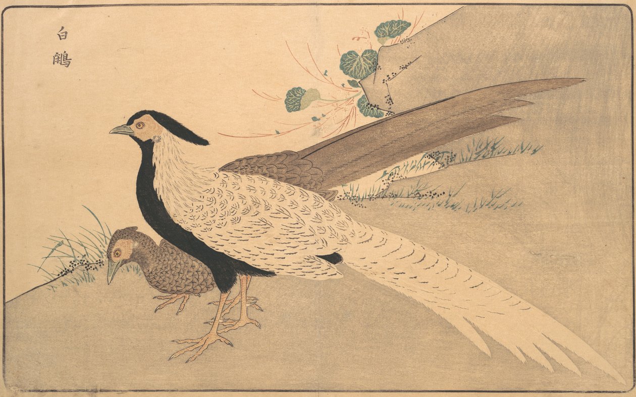 Bai xian, 1789 door Kitao Masayoshi