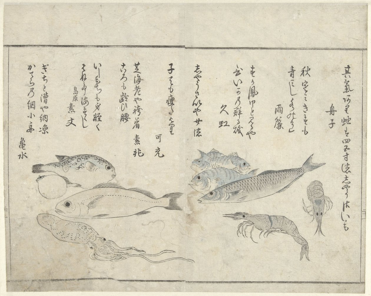 Zeedieren door Kitao Masayoshi