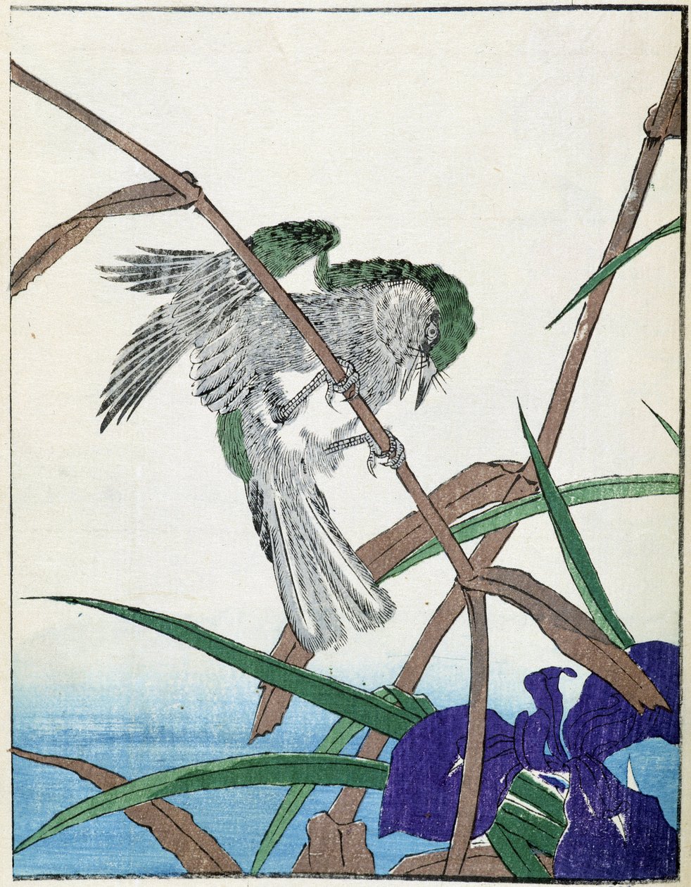 Vogel op een boom. Japanse tekening door Kitao Kosuisai door Kitao Shigemasa
