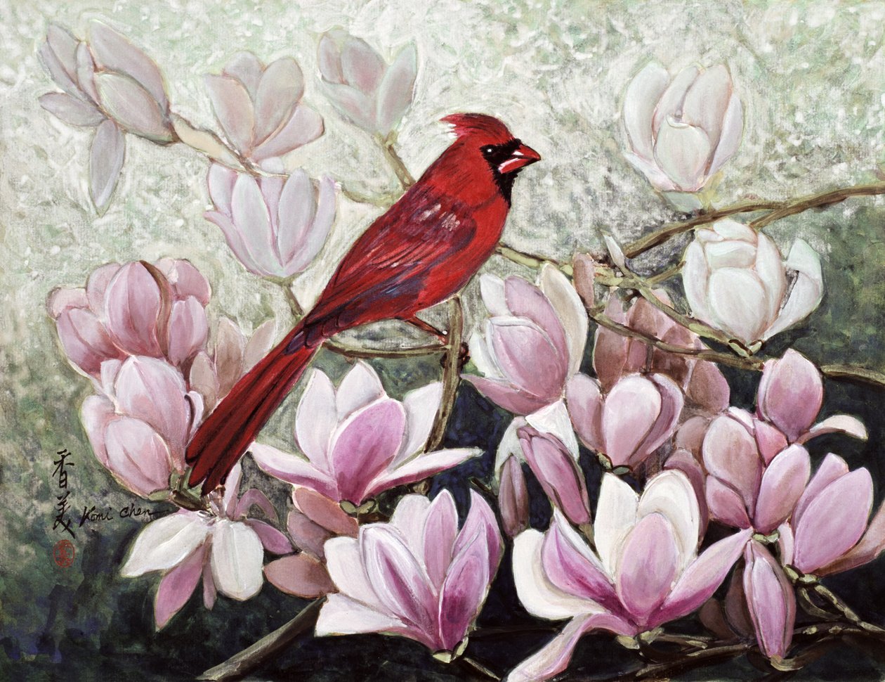 Kardinaal, 2001 door Komi Chen