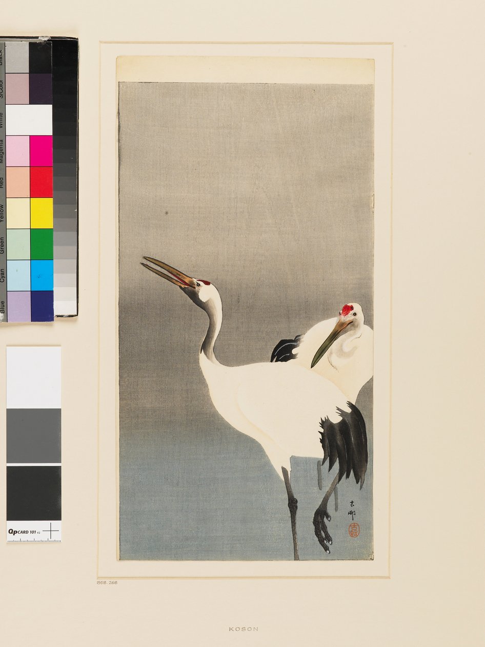 Twee Japanse kraanvogels wadend in een vijver door Koson Ohara