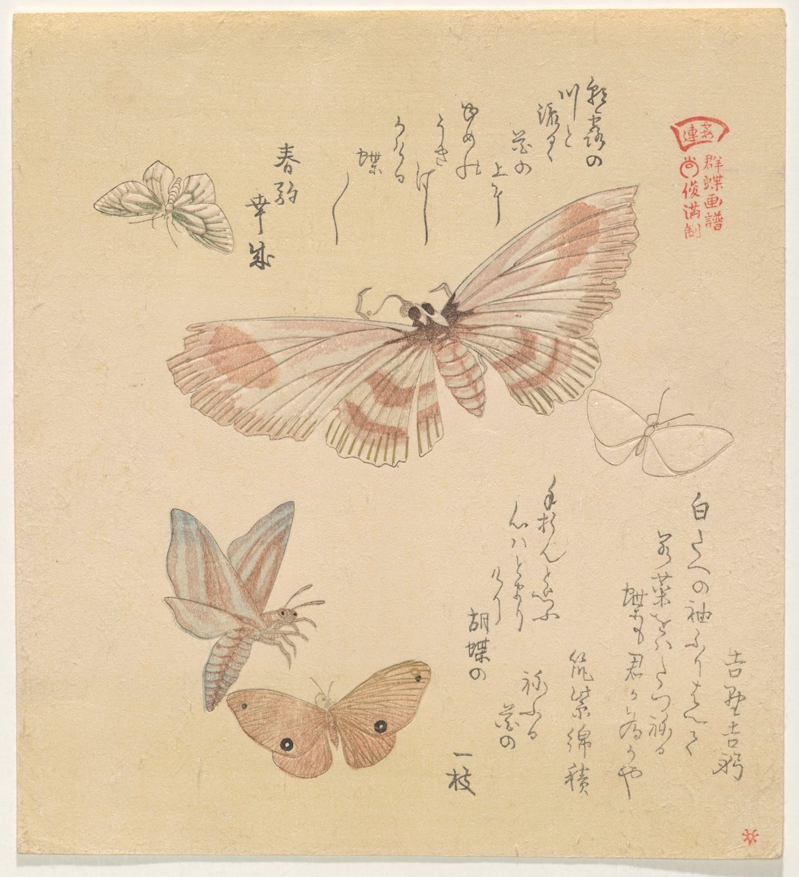 Vlinders en motten, uit de serie Een zwerm vlinders door Kubo Shunman