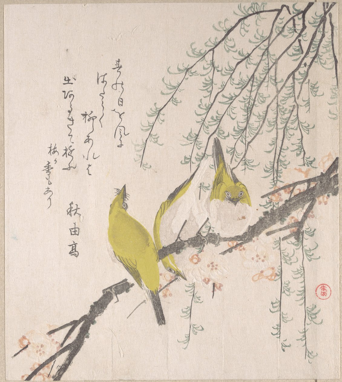 Japanse witogen met pruimenboom en wilg, uit het album „Harusame surimono-jō” (deel 3) door Kubo Shunman