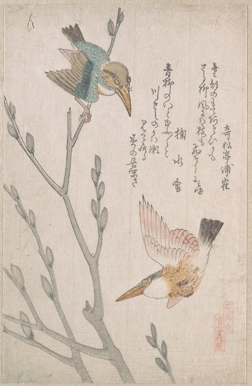 IJsvogels en wilgenkatjes door Kubo Shunman