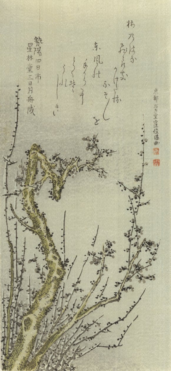 Oude pruimenboom door Kubo Shunman