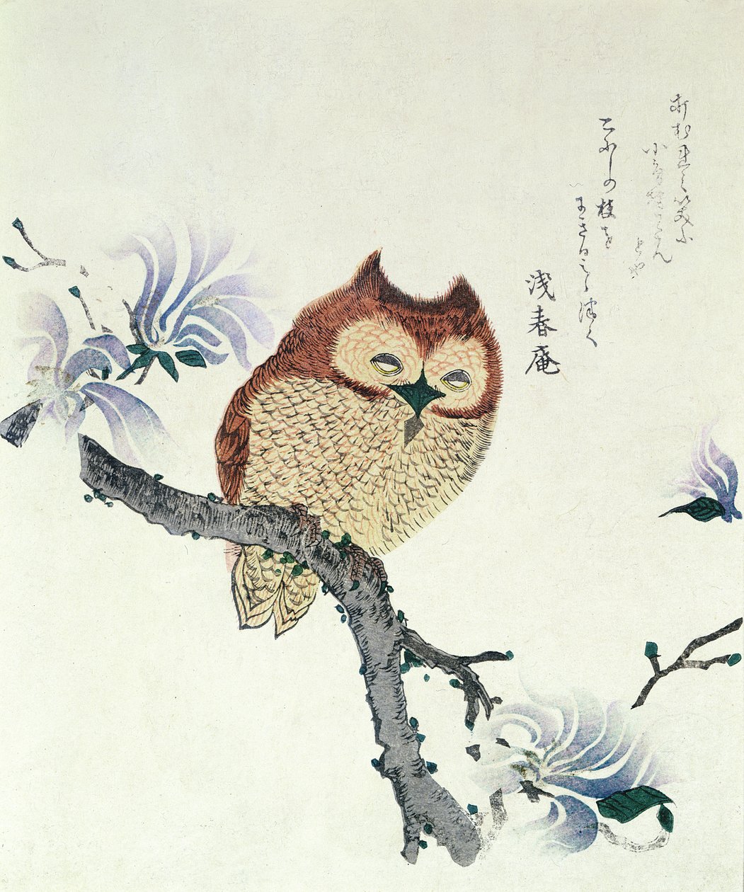 Uil op een Magnolia-tak (inkt  kleur op papier) door Kubo Shunman