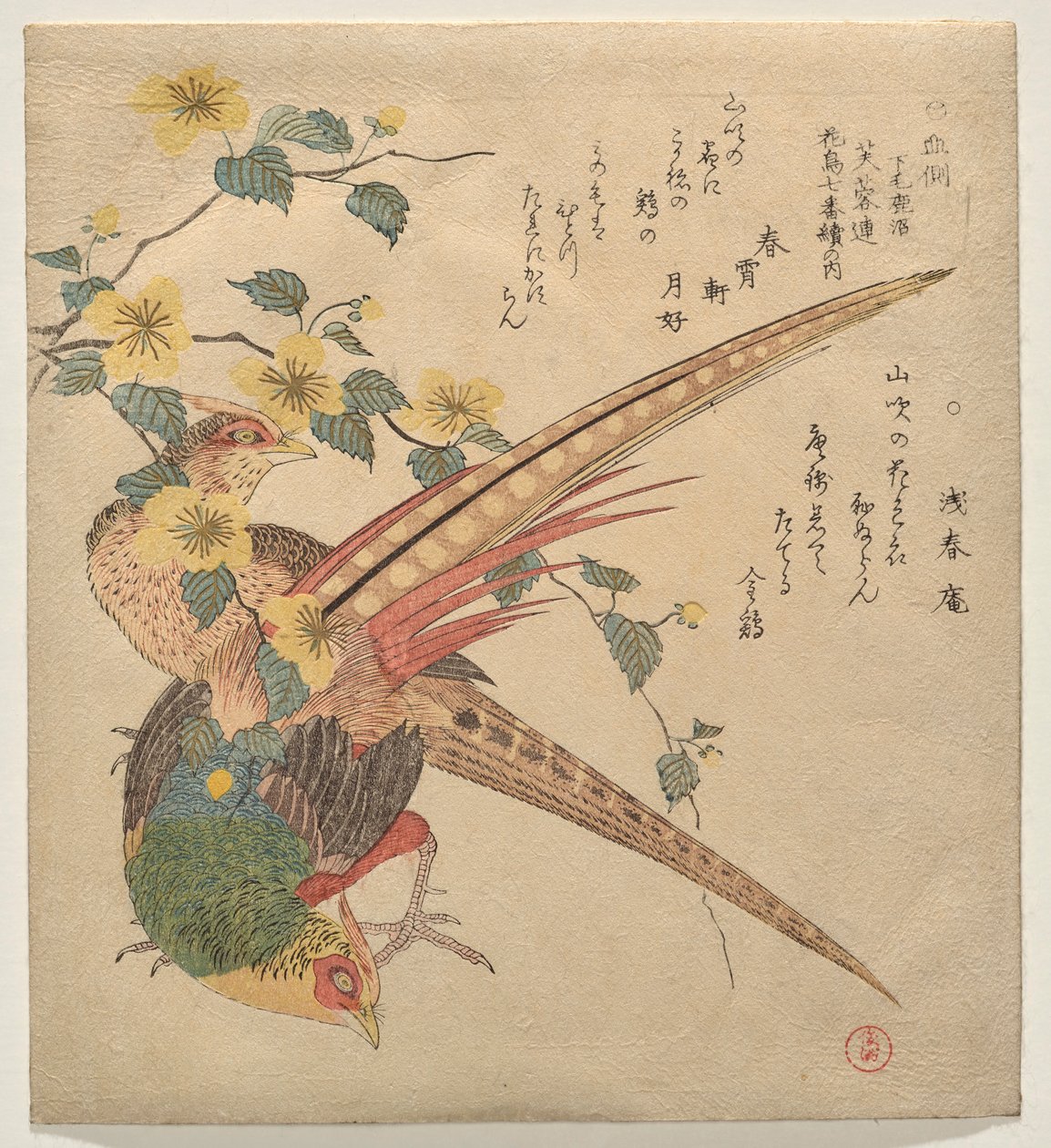 Paar Chinese fazanten en een tak van yamabuki bloemen door Kubo Shunman
