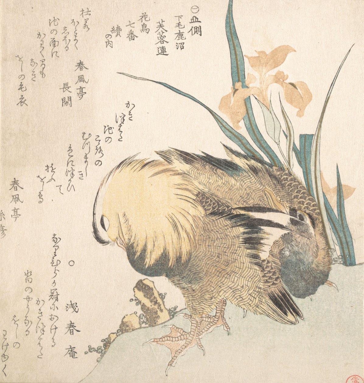 Paar mandarijneenden en irisbloemen door Kubo Shunman