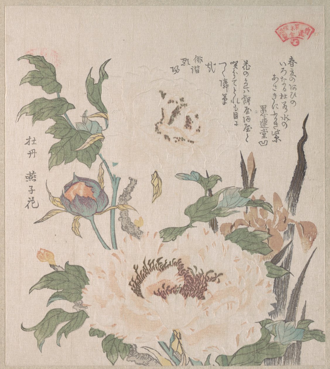 Pioenrozen en irissen door Kubo Shunman