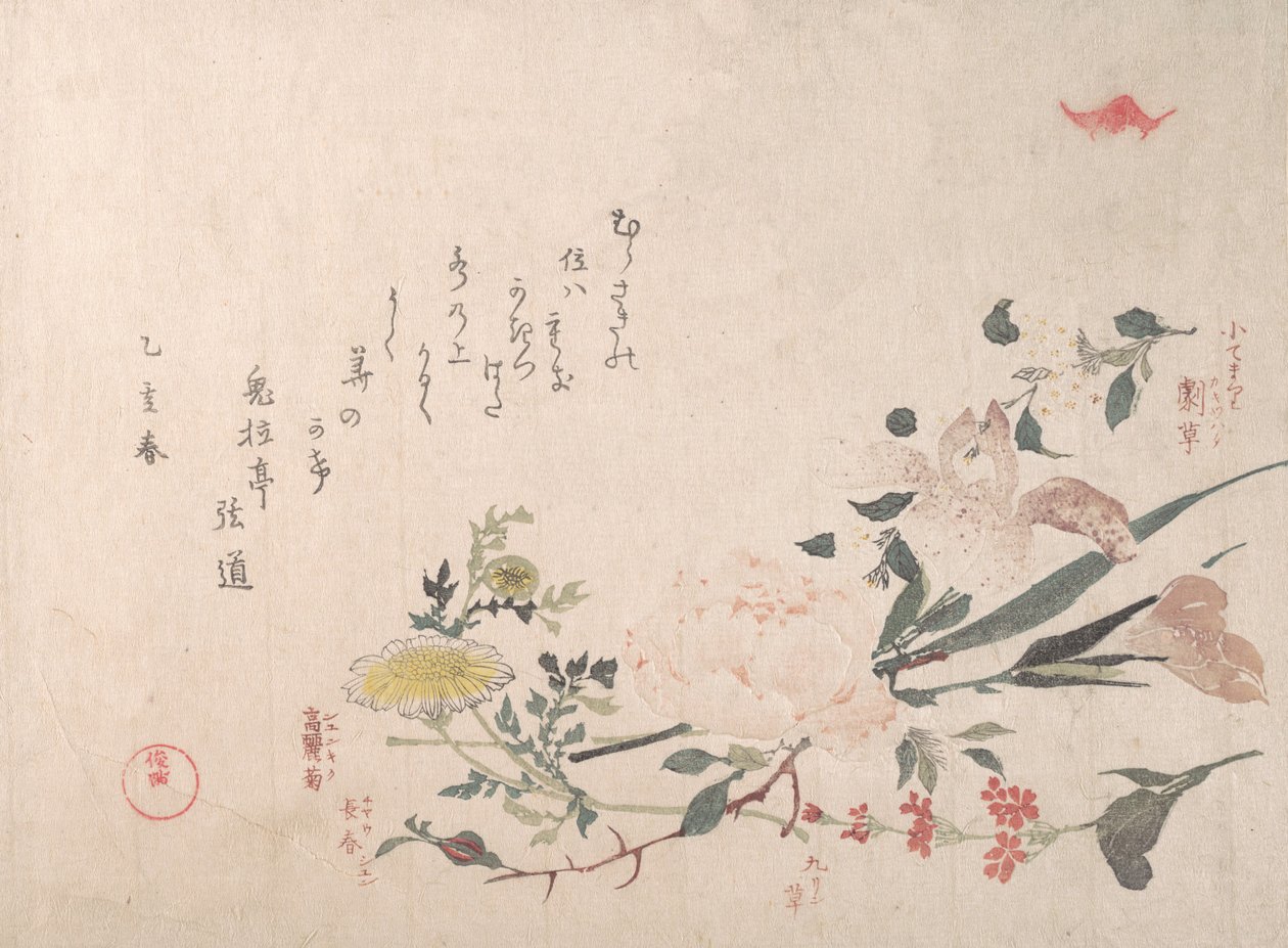 Roos, iris, sleutelbloem en madeliefje, 1815 door Kubo Shunman