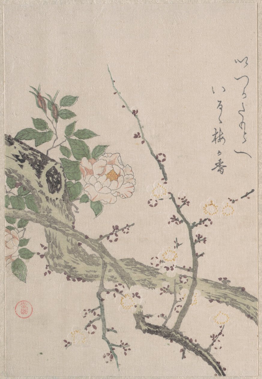 Rozen en pruimenbloesems door Kubo Shunman