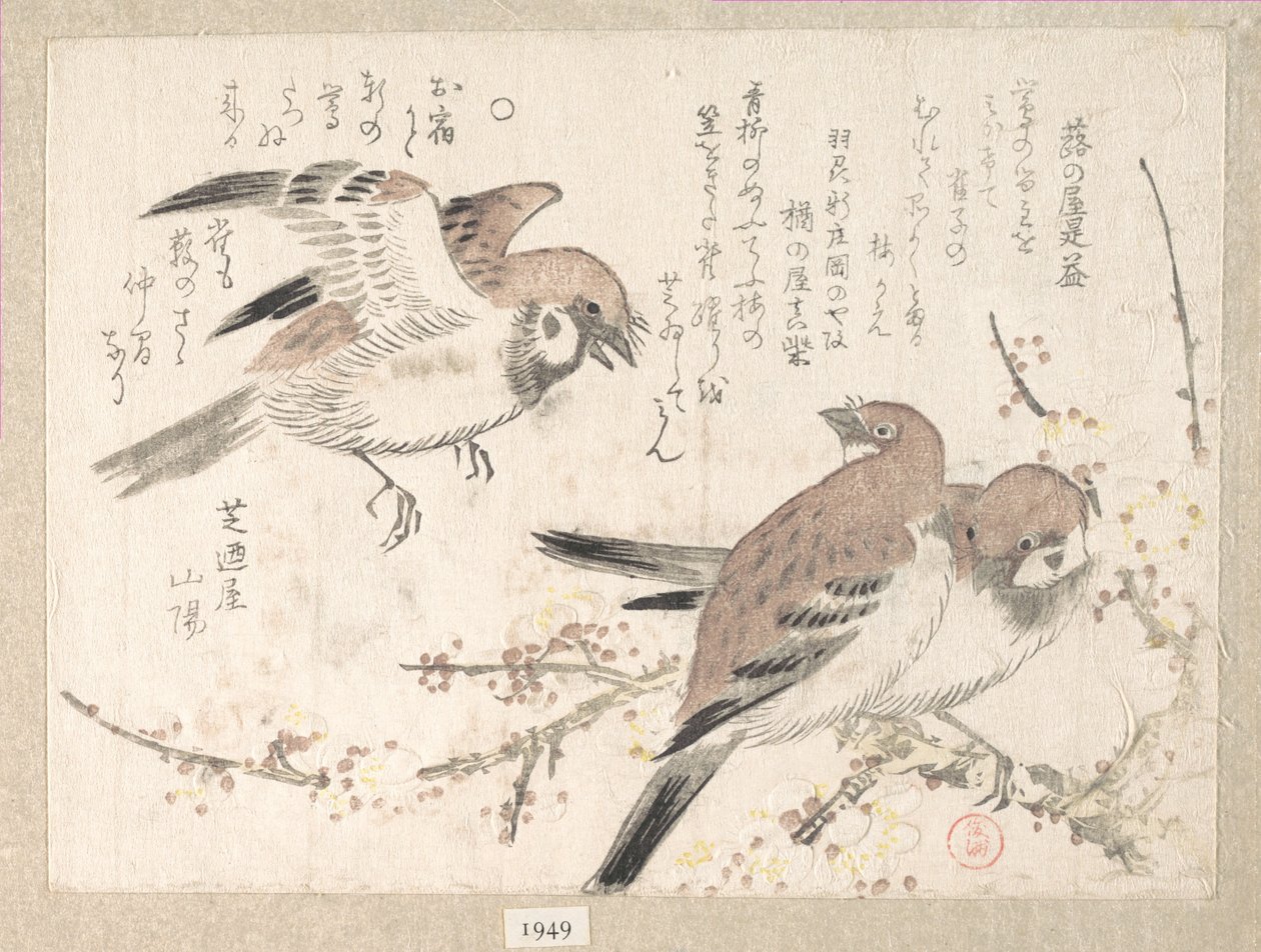 Mussen en pruimenbloesems door Kubo Shunman