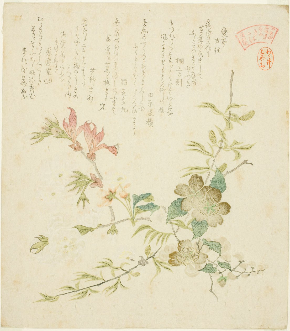 Verschillende Lentebloemen, uit de serie "Lentebloemen en Bomen voor de Kasumi Poëziekring van de Yomo Groep" door Kubo Shunman