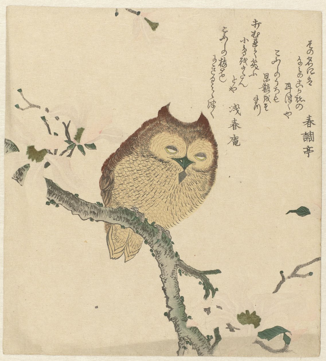Uil op een magnoliatak door Kubota Shunman