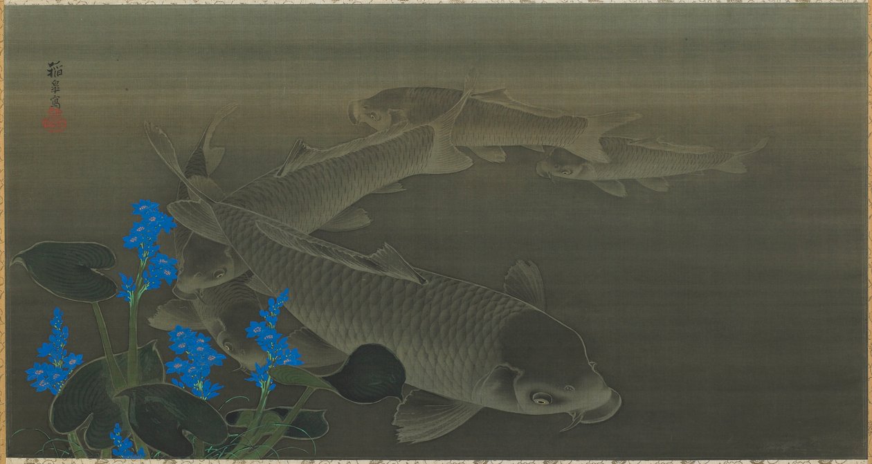 Karper, Edo-periode, begin 19e eeuw door Kuroda Toko