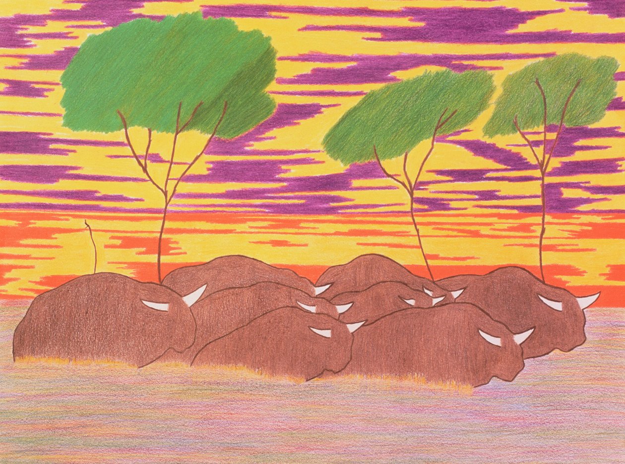Mars van de waterbuffel, 2004 (kleurpotlood op papier) door Kurtis L. Miller