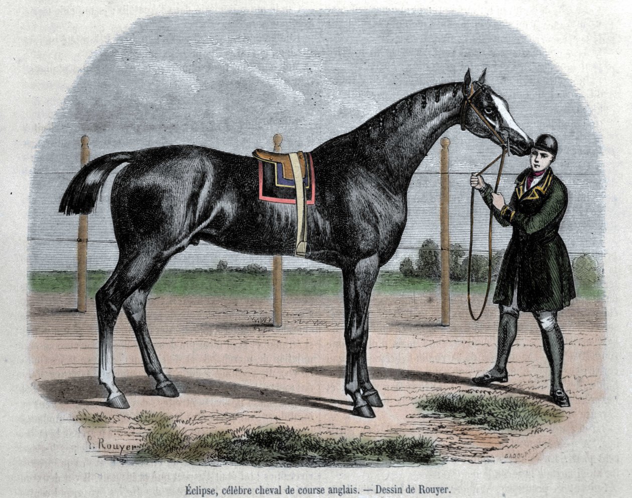 Het Engelse renpaard Eclipse. Illustratie door Rouyer. door L. (after) Rouyer